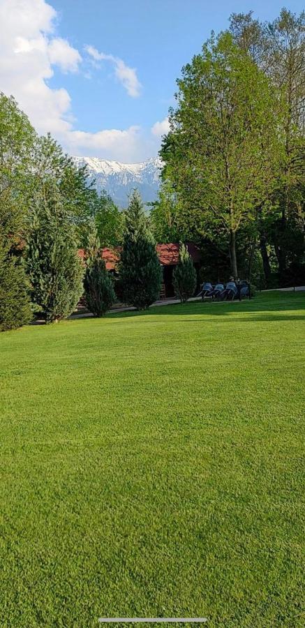 Garden Retreat Junior (Adults Only) Bran (Brasov) Exterior foto